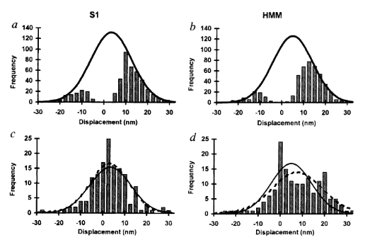 Molloy et al. 1995 shows original estimations of myosin’s displacement measured in the single molecule laser trap were overestimated due to flawed anaysis. Panels A and B are data analyzed as performed by Finer et al. 1994, whereas C and D with a variance threshold that allowed for the idenfitication of zero and low displacement events.
